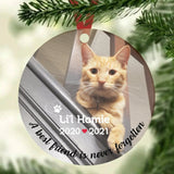 Custom Pet Memorial Ornament with Name and Oil Painting Look Photo